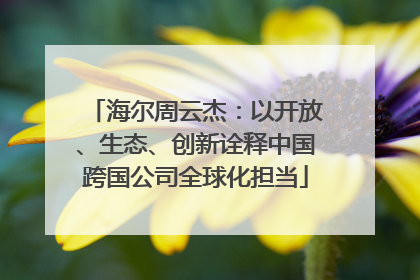 海尔周云杰：以开放、生态、创新诠释中国跨国公司全球化担当